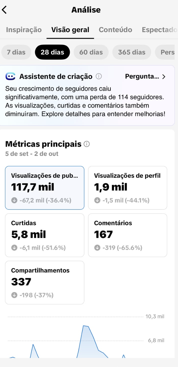 Print original dos Insights atuais do TikTok com as métricas e variações negativas do período.